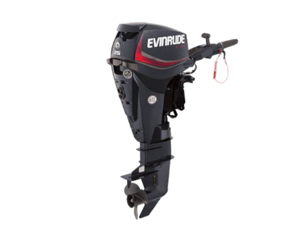Evinrude-E25DRGL.jpg