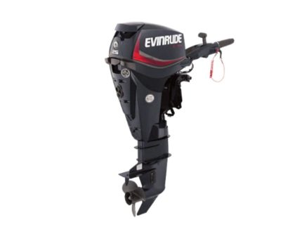 Evinrude E25DTSL E-TEC Outboard Motor